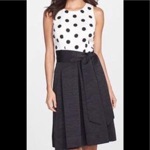 Beautiful Eliza J black polka dot fit and flare 6P
